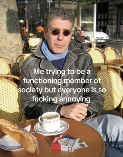 Me trying to be a
functioning member of society but everyone is so fucking annoying. (TikTok screenshot)