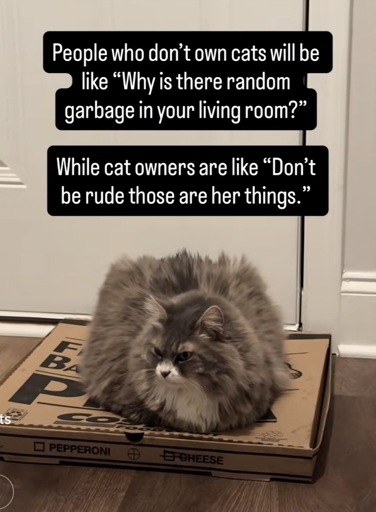 A cat sitting on top of an old pizza box with the caption ‘People who don't own cats will be like "Why is there random garbage in your living room?"
While cat owners are like "Don't be rude those are her things."’