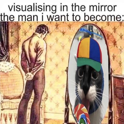 Text: “visualizing in the mirror the man I want to become”. Image: man looking at a mirror showing a really cool cat. 