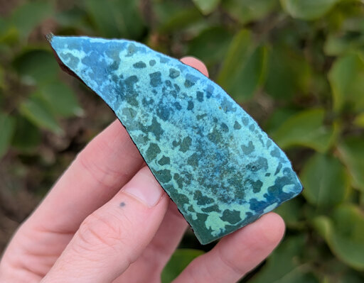 A jaggedly triangular pottery glaze test tile is being held in front of lilac bushes that still have their foliage in mid-November. The glaze on the test tile is a mottled blue and green that together create places that "break" a soft, pastel seafoam.