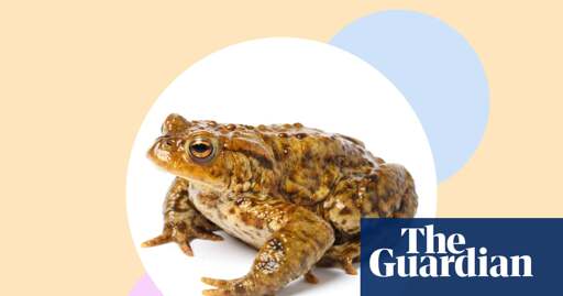 Toad!