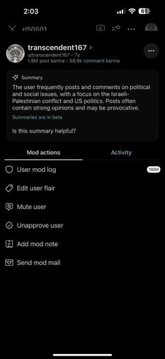 A screenshot of a Reddit users profile with an AI summary based on their account history. The summary reads "The user frequently posts and comments on political and social issues, with a focus on Israeli-Palestinian conflict and US politics. Posts often contain strong opinions and may be provocative."
