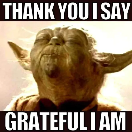 Yoda - Thank you I say Grateful I Am