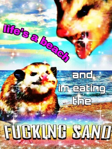 Opposum shouting inside, "Life is a beach, and I am eating the fucking sand."