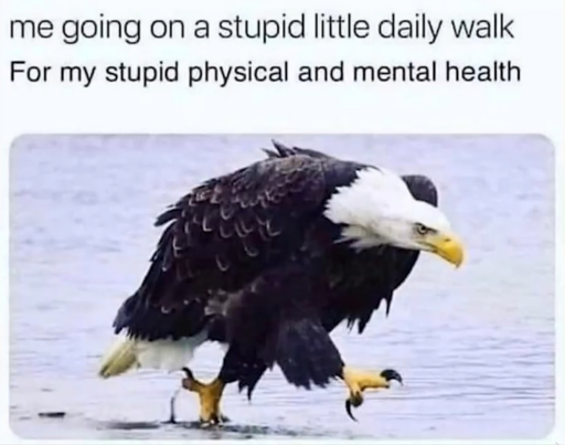 An eagle hunched down and walking through water. The text above reads: me going on a stupid little daily walk for my stupid physical and mental health.