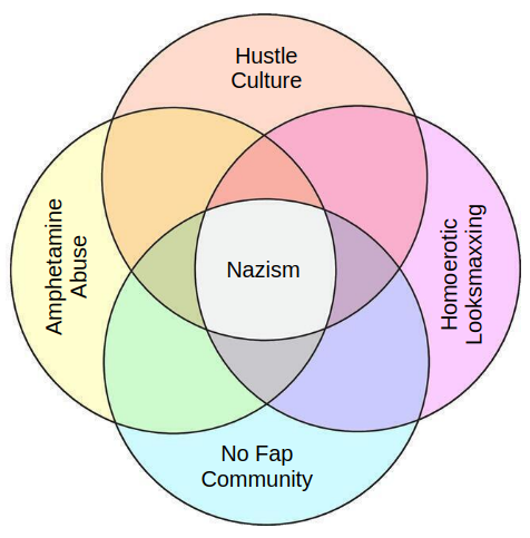 Venn diagram meme with four overlapping circles of hustle culture, the NoFap community, amphetamine abuse, and homoerotic looksmaxxing; Nazism lives at its center.