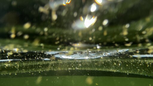 Photo of the surface of the sea from underneath with the sun reflecting of waves and bubbles.