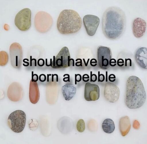 A picture of a bunch of pebbles with the caption "I should have been born a pebble".