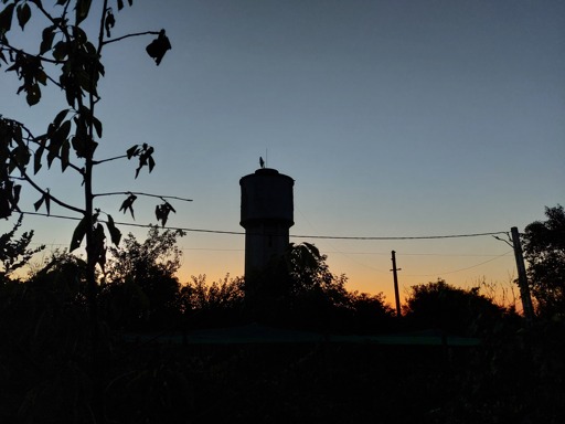 dark silhouette of a water tower in the background and small tree in the foreground, at sunrise