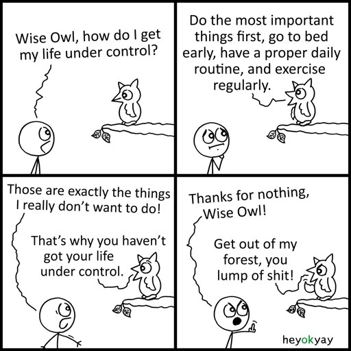 This is a four-panel comic by heyokyay featuring a conversation between a stick figure and an owl perched on a branch.Panel 1: The stick figure asks, "Wise Owl, how do I get my life under control?"   Panel 2: The owl replies, "Do the most important things first, go to bed early, have a proper daily routine, and exercise regularly."   Panel 3: The stick figure complains, "Those are exactly the things I really don't want to do!" The owl simply responds, "That's why you haven't got your life under control."   Panel 4: The stick figure angrily gives the owl the middle finger and yells, "Thanks for nothing, Wise Owl!" The owl flips the stick figure off in return and shouts, "Get out of my forest, you lump of shit!"