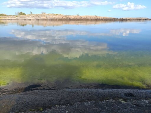Interesting colour combination of cliffs, seaweed, water, reflection, clouds, and sky