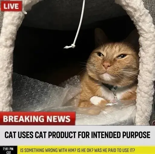 Picture of a orange cat. "Breaking news: Cat uses cat product for intended purpose. Is something wrong with him? Is he ok? Was he paid to use it"?