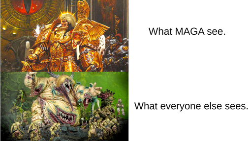 40k emperor with trump hair vs. nurgle with trump hair, text says: what maga see and what everyone else sees.