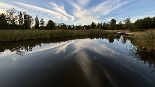Photo over the water perfectly reflecting the slightly cloudy sky, reeds and trees on the other side.