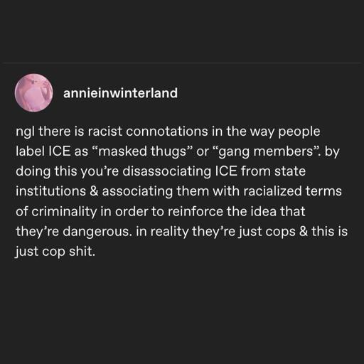 ngl there is racist connotations in the way people label ICE as "masked thugs" or "gang members". by doing this you're disassociating ICE from state institutions & associating them with racialized terms of criminality in order to reinforce the idea that they're dangerous. In reality they're just cops & this is just cop shit.