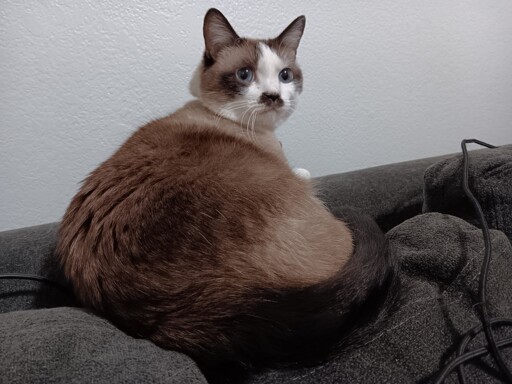 She's judging me for playing dnd