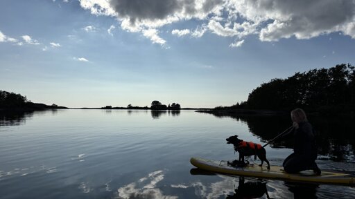 Photo of a very clam sea with some islands in the background and a paddleboard with a dog looking like it's pointing the way to adventure.
